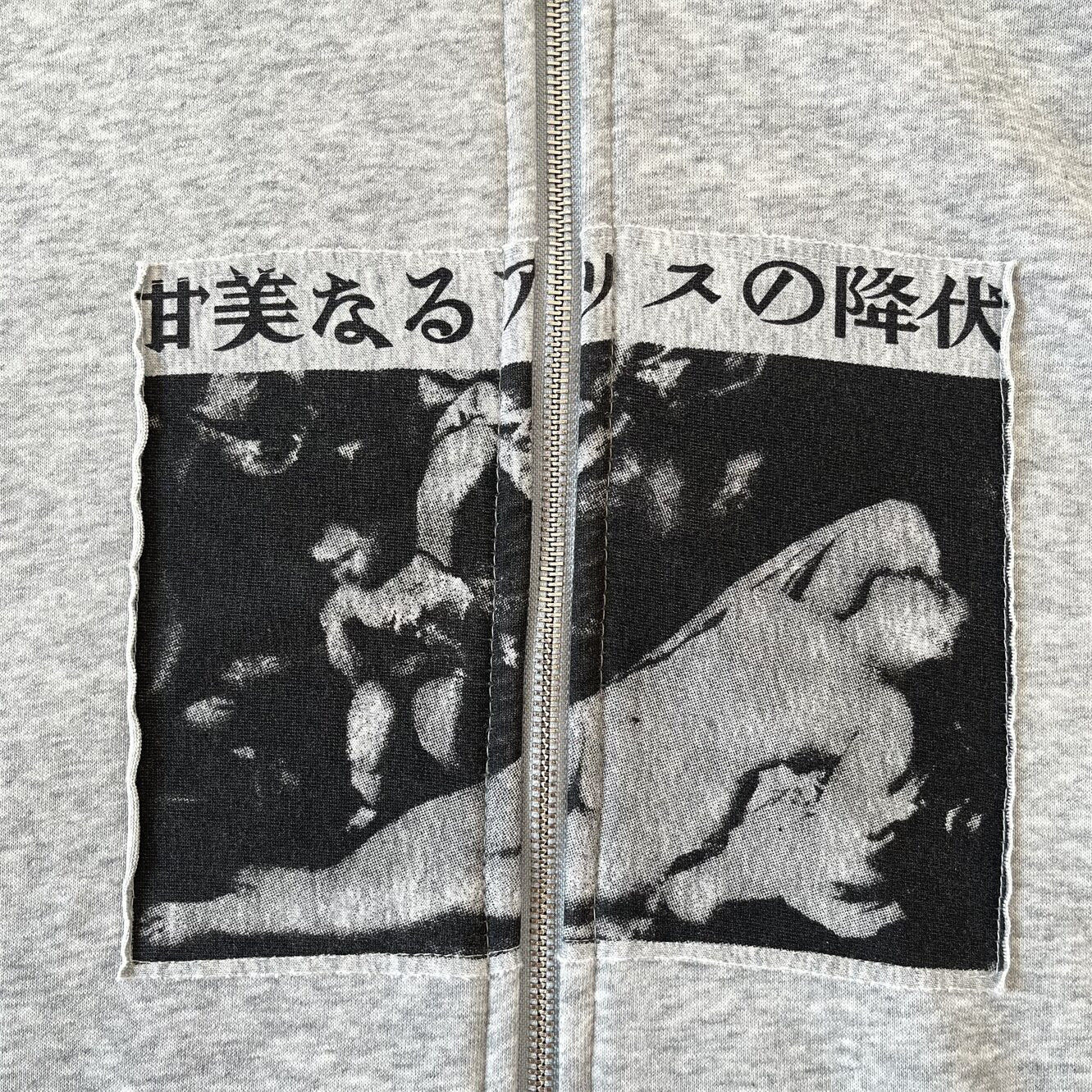 ERD Vintage Oversized Cropped Graphic Zip Up Hoodie