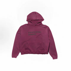 ERD's melancholic wealthy second-generation Vintage Washed Dark Red Hoodie